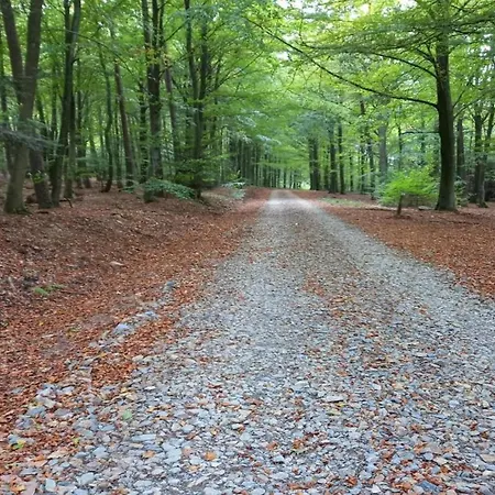 Wellness Escape In Gouvy, Cleaning Included Prázdninový dům